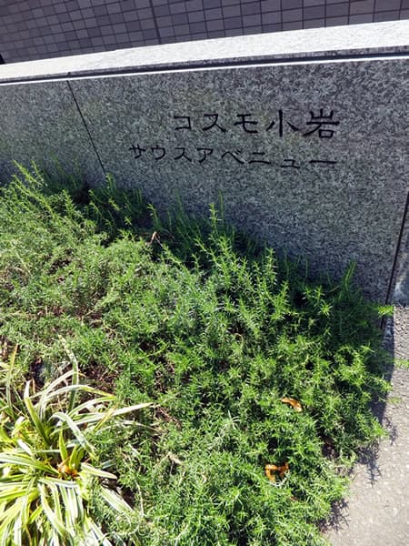 コスモ小岩サウスアベニュー 4