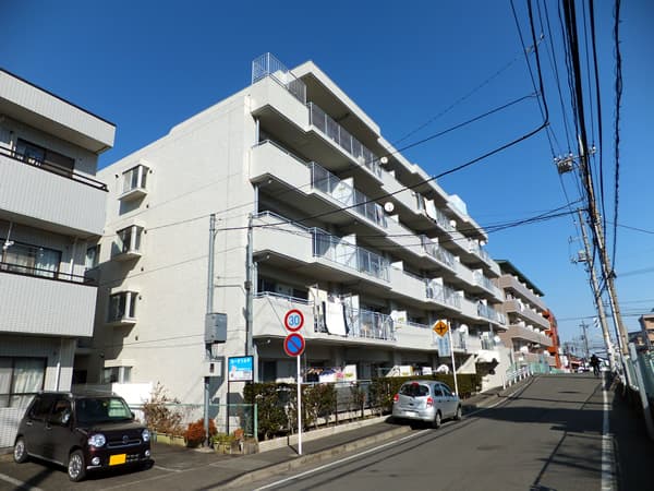 エンブレム向ヶ丘遊園 1