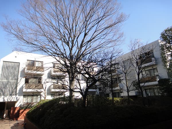 ライオンズマンション鉢山 1