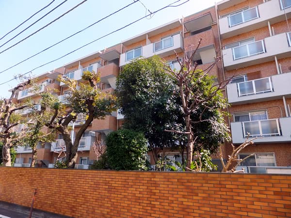 代官山ローヤルコーポ 1