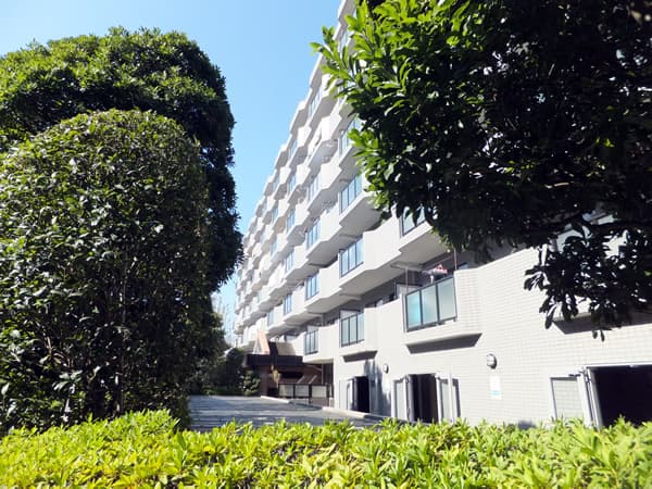 エンゼルパークハイツ綱島3番館 3