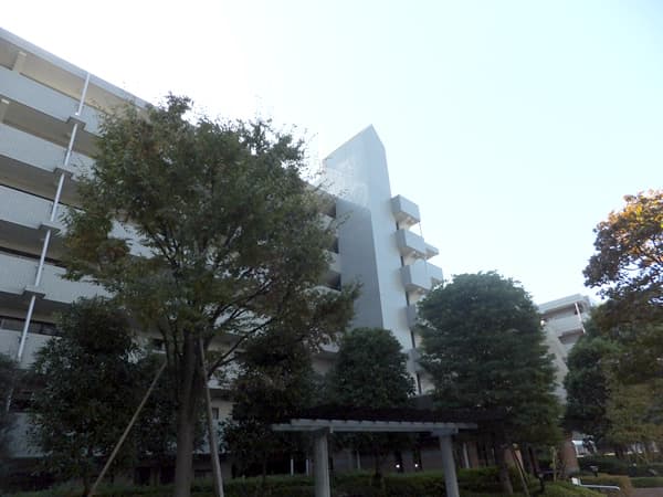 エンゼルパークハイツ綱島1番館 1