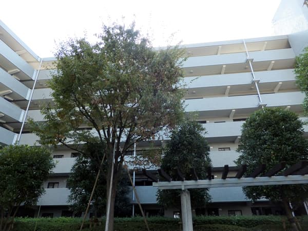 エンゼルパークハイツ綱島1番館 2