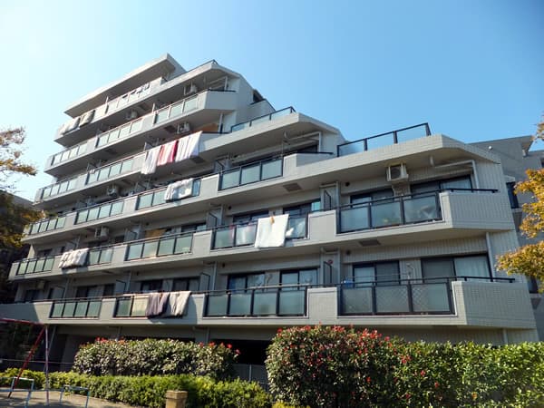 クリオ綱島7番館 1