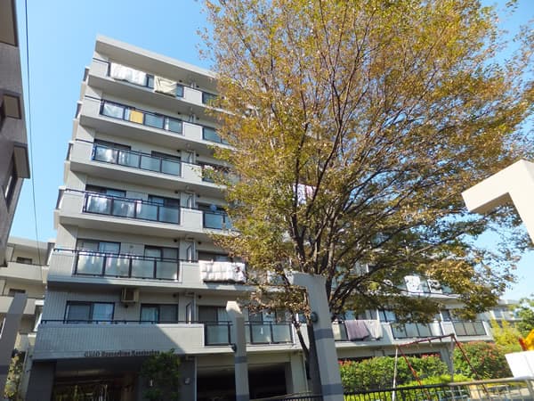 クリオ綱島7番館 2