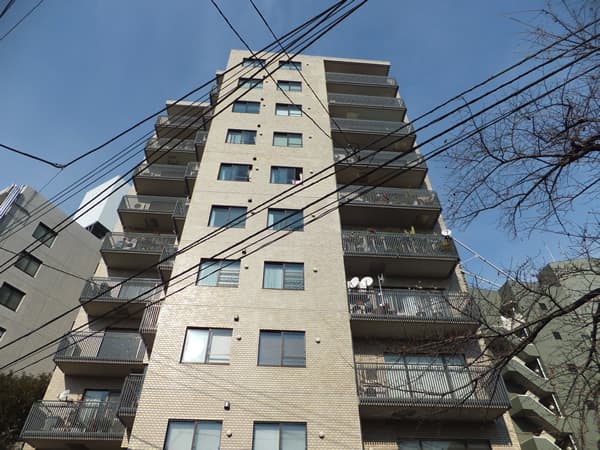 南青山パークマンション 1