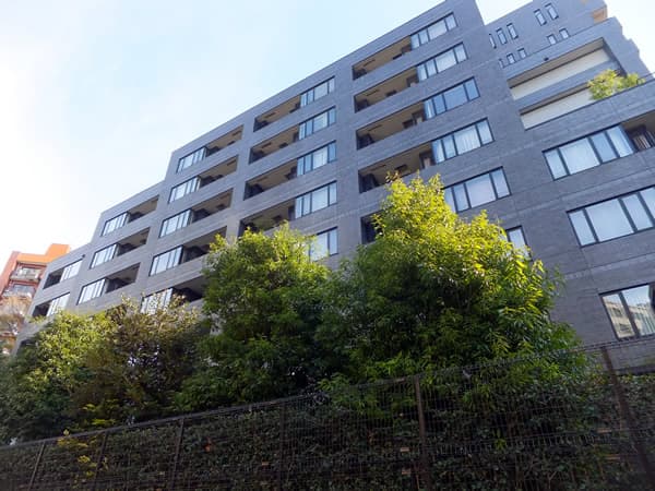 南青山テラス常盤松フォレスト 5