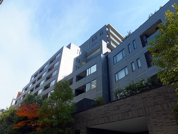 南青山テラス常盤松フォレスト 7