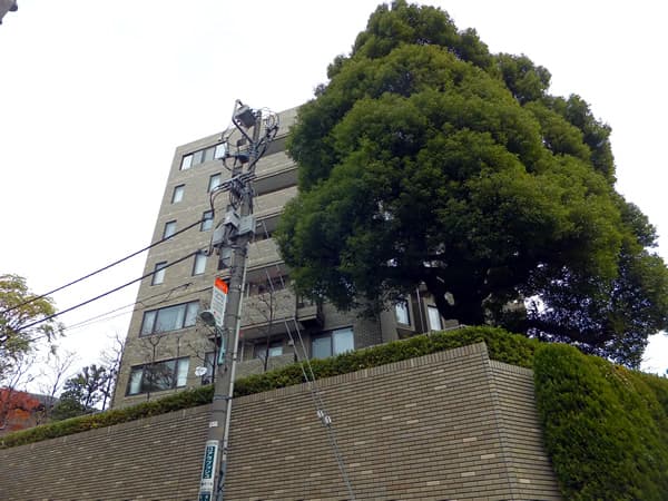 フラット緑ヶ岡 5