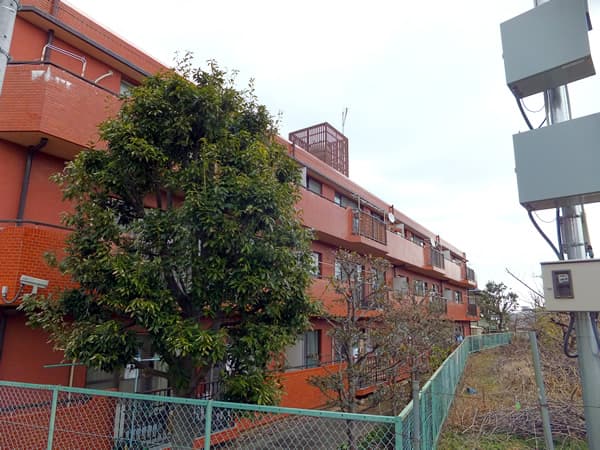 セザール秦野 3