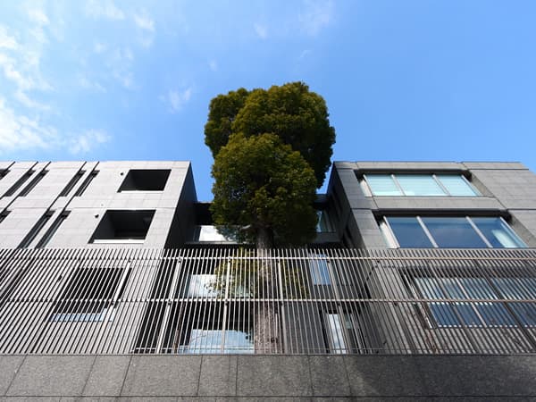 グランツオーベル南平台 2