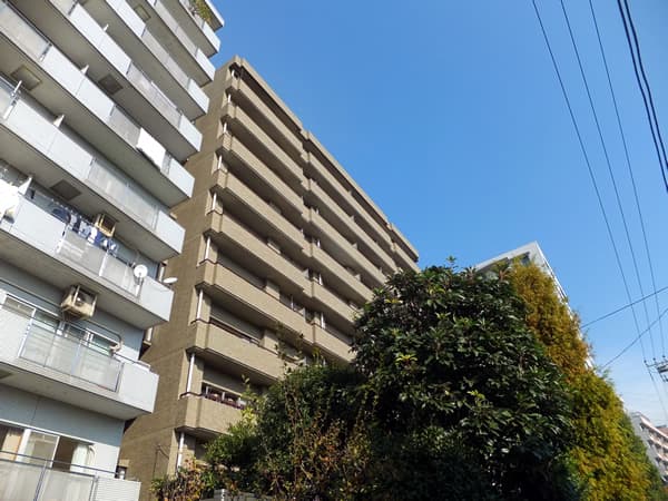 プレステージ三軒茶屋ラフィーネ 7