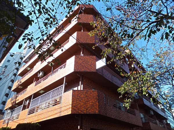 第30宮庭マンション 1