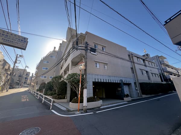 ラグジュアリーアパートメント西新宿 2