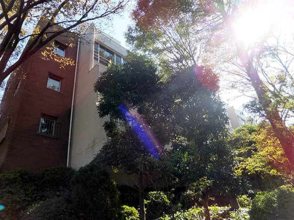 大倉山ヒルタウン7号館 1