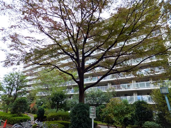 大倉山ハイム8号棟 5