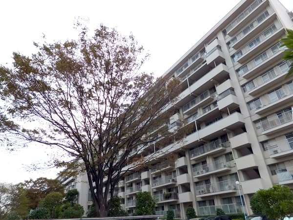 大倉山ハイム7号棟 2