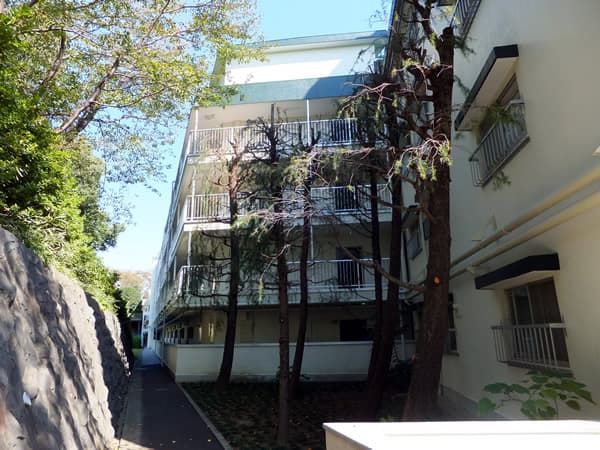 大倉山パークハイツ 3