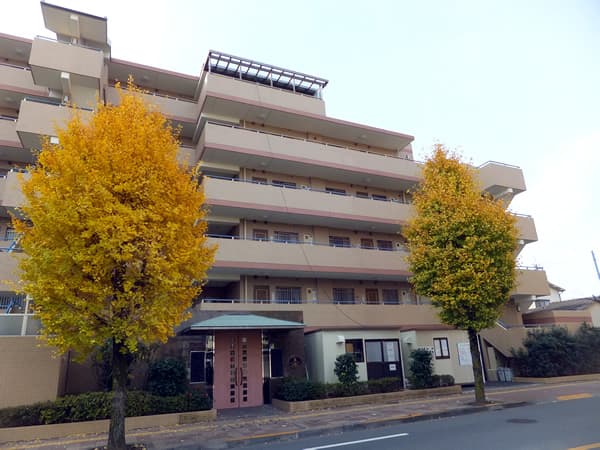 ルピナス河辺 1