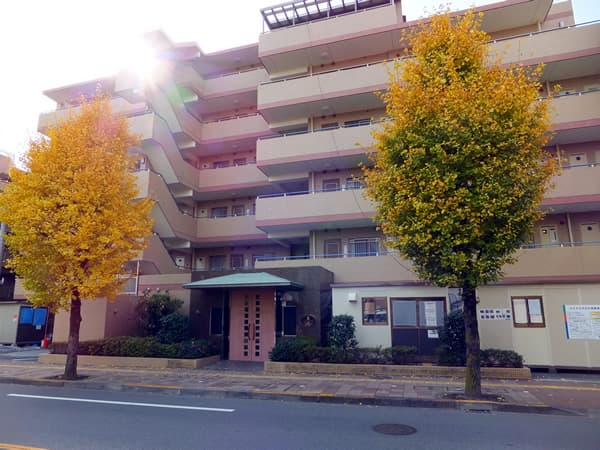 ルピナス河辺 2