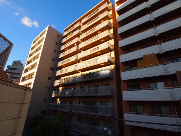 イトーピア渋谷桜ヶ丘 3