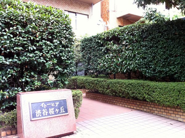 イトーピア渋谷桜ヶ丘 4