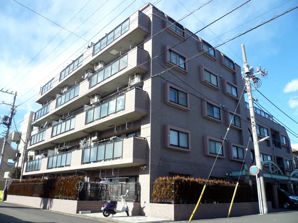 ドメス向ヶ丘遊園 1