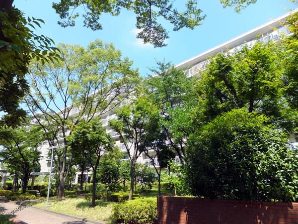 菊名ハイツ2号館 2