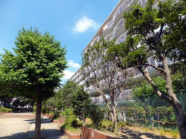 菊名ハイツ3号館 2