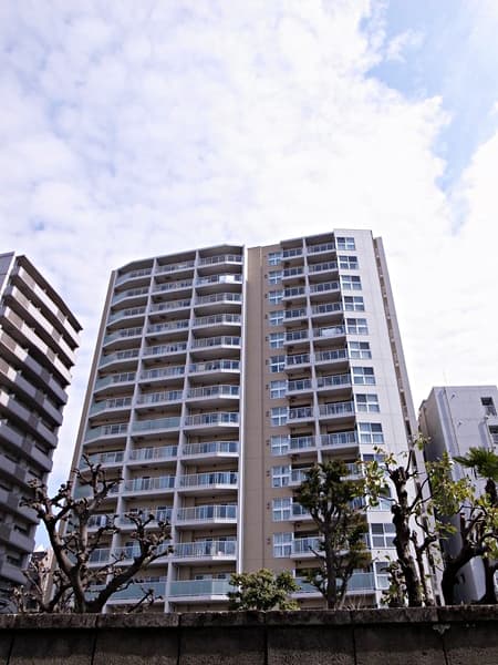 コンフォルテハイム本駒込 1