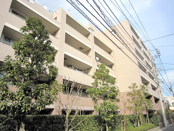 藤和シティホームズ武蔵小杉御殿町 1