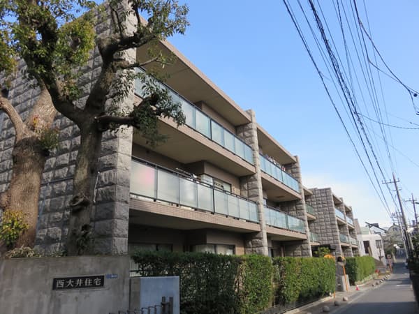 アデニウム大森山王 3