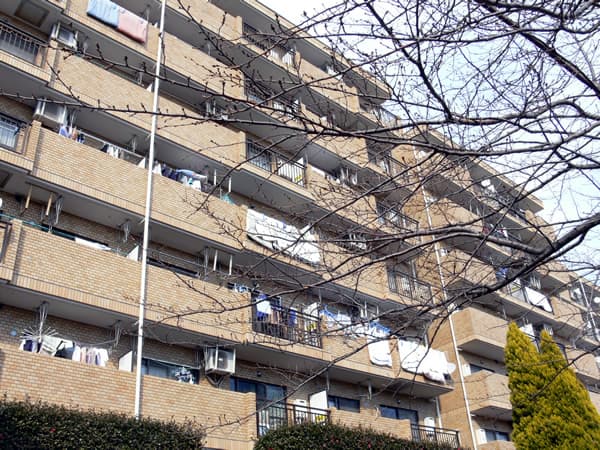 サンマンション青葉台ガーデン 1