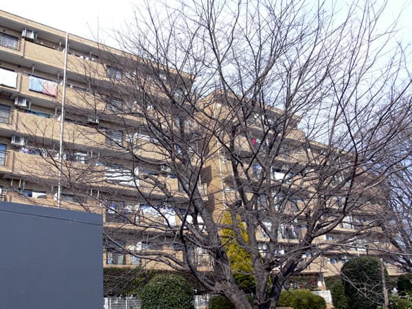 サンマンション青葉台ガーデン 3