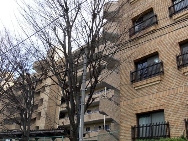 サンマンション青葉台ガーデン 4