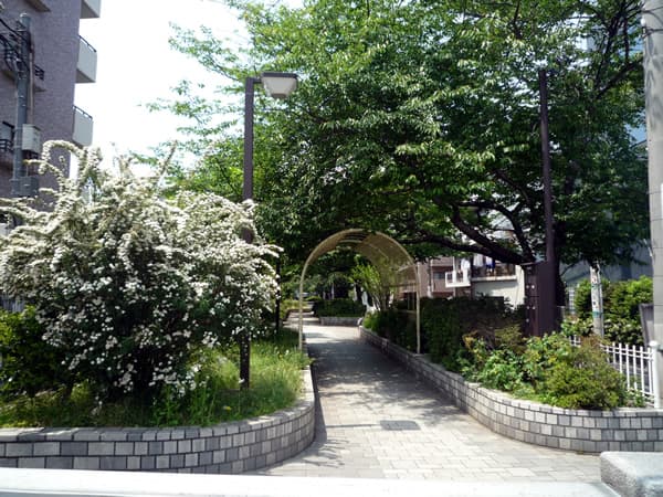 グレーシア板橋 3