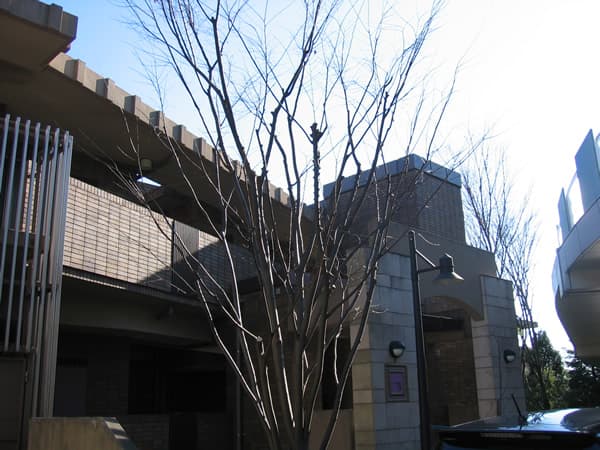 イディオスあざみ野B棟 1