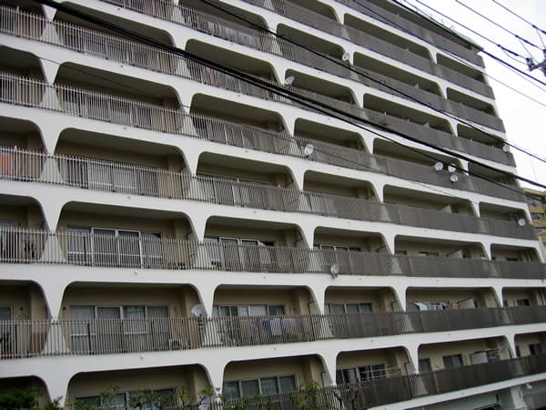 美しが丘ルピナス 2