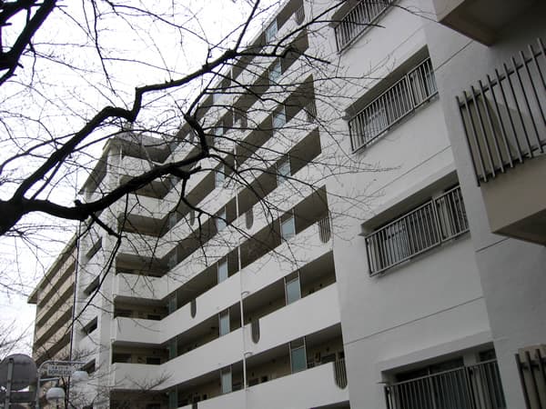 美しが丘ルピナス 4