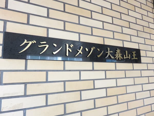 グランドメゾン大森山王 9