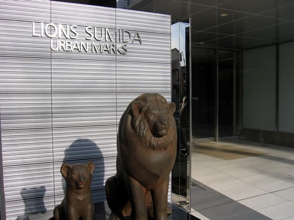 ライオンズ墨田アーバンマークス 5