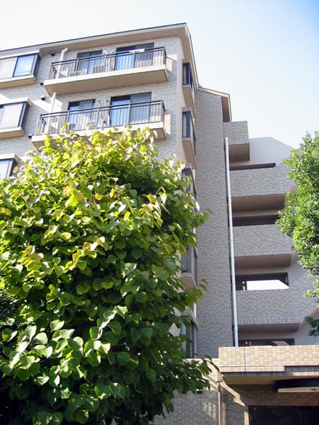 プリンスハイツ田無 2