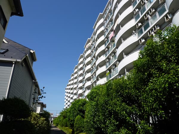 ハイネスアミティ鶴間1番館 1