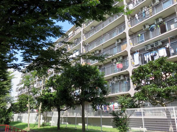 さがみ野サンハイツA棟 1