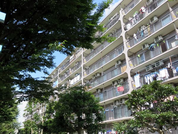 さがみ野サンハイツA棟 3