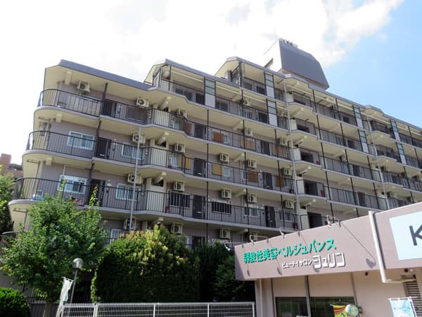 さがみ野サンハイツA棟 6