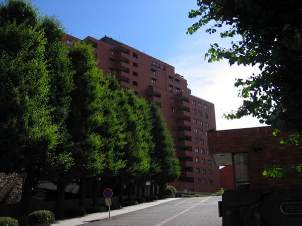 東高ペアシティルネッサンス 1