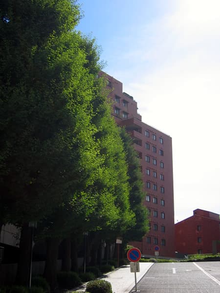 東高ペアシティルネッサンス 2