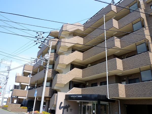 スガハイム17東林間 1