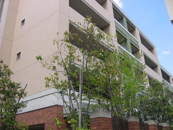 グランドメゾン藤が丘 1